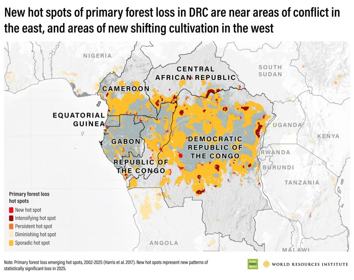 In the Democratic Republic of the Congo, non-fire primary forest loss reached a record high in 2025. Small-scale farming, charcoal production, and displacement linked to conflict all contribute to a dispersed pattern of clearing.
