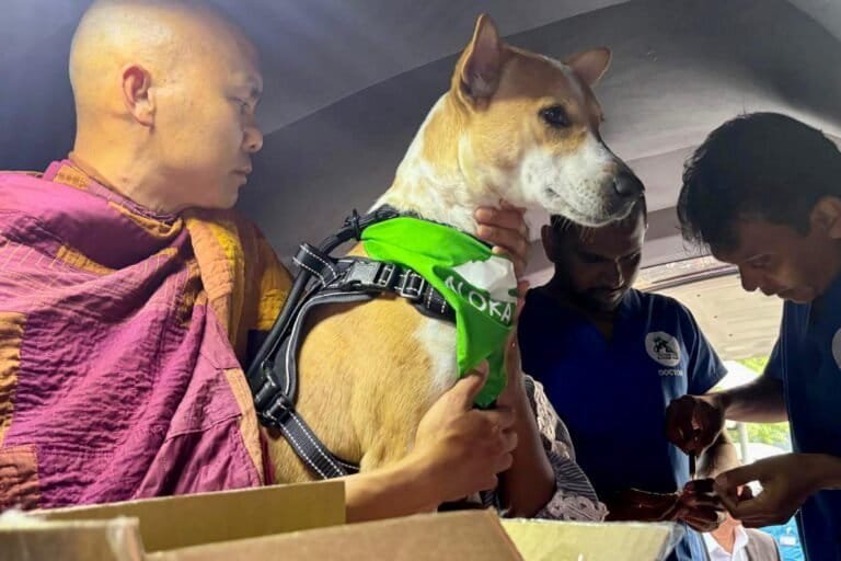 3 Checking the health as Aloka reached Sri Lanka