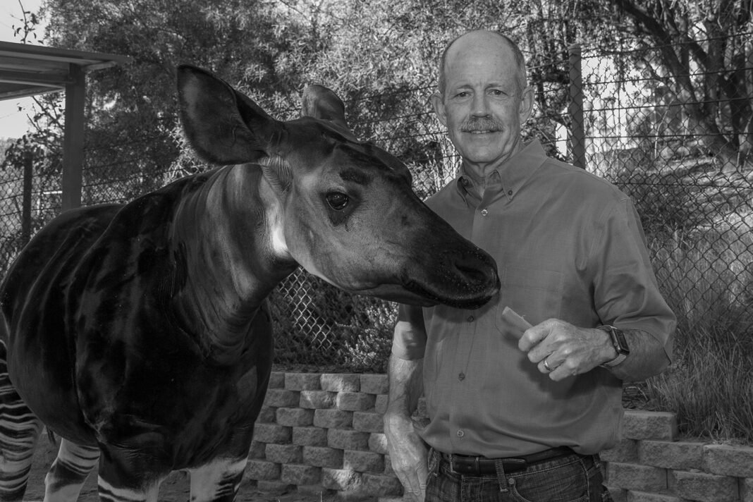 Don Janssen with an okapi. Courtesy of the Association of Zoos and Aquariums﻿ (AZA).