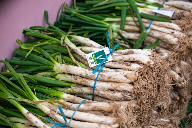 Editors’ Choice: How bad could it get? 3 Europe is winning ‘war on terroir’ – and Australia just flipped