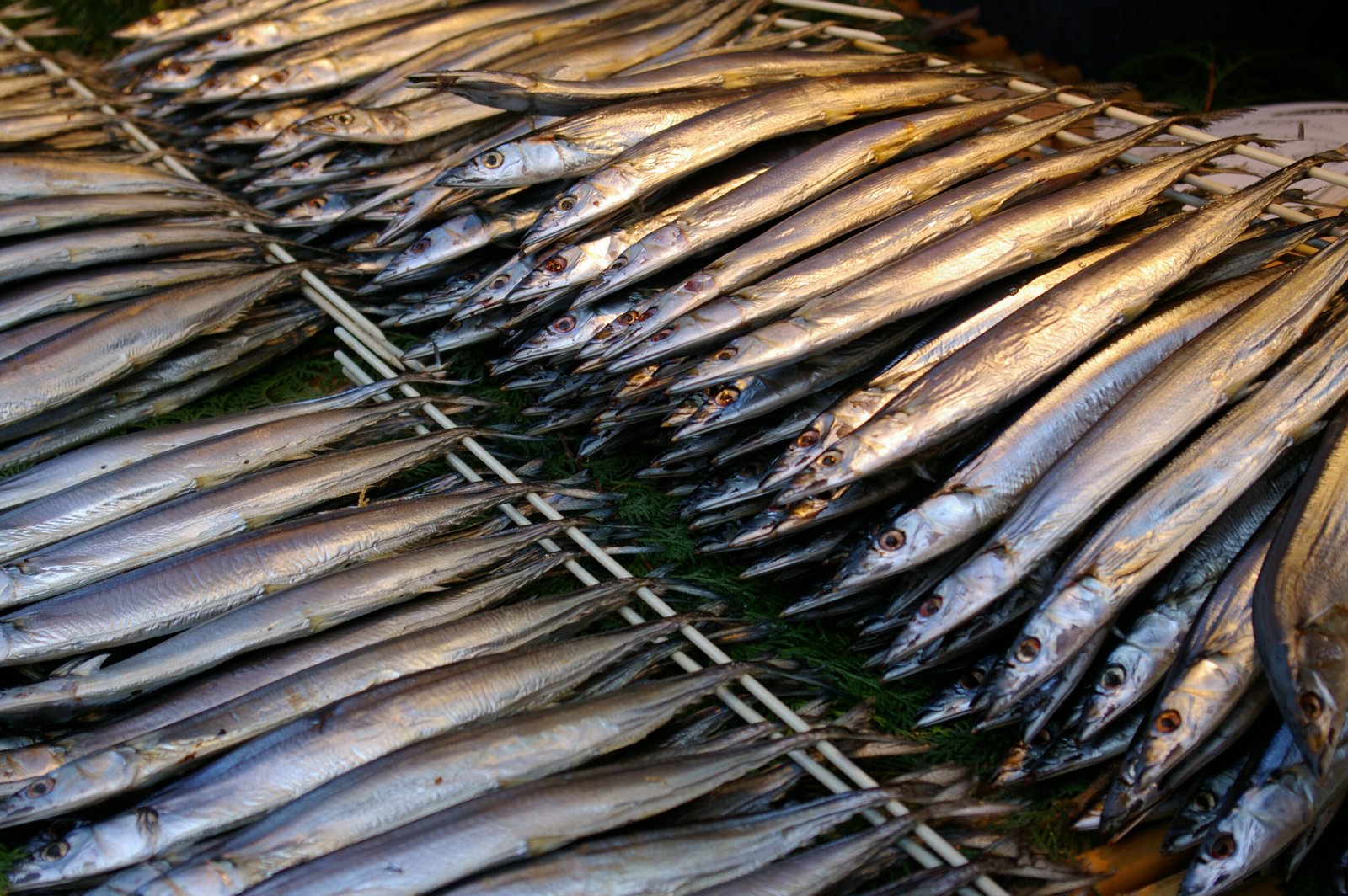 Pacific saury (Cololabis saira) dried overnight. 