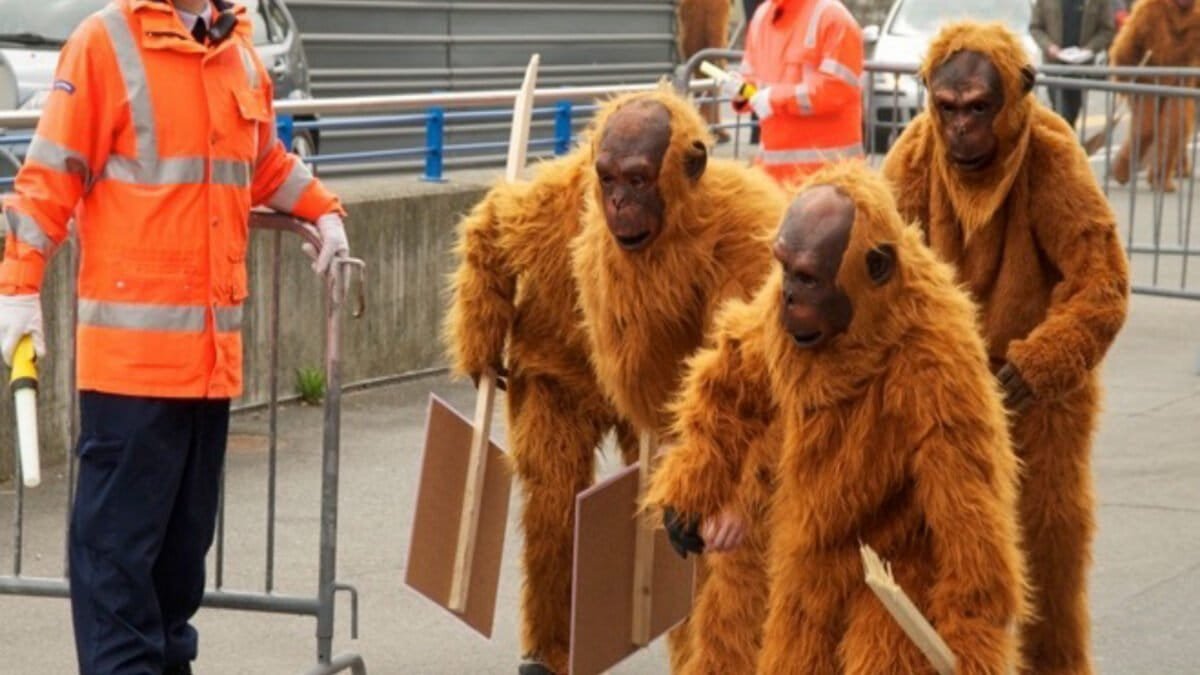 Greenpeace protesters in orangutan suits at Nestle's shareholder meeting. Street protests are one of Greenpeace's tactics for pressuring companies on their commodity sourcing practices. As a result of this particular campaign, Nestle adopted one of the earliest zero deforestation policies. That policy subsequently became the basis of other ZDPE commitments, which have now been signed by hundreds of companies around the world.