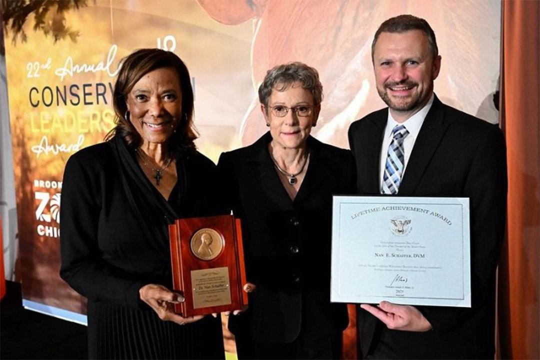 Nan Schaffer receiving a lifetime achievement award from the Brookfield Zoo. Photo courtesy of Universiti Malaysia Sabah