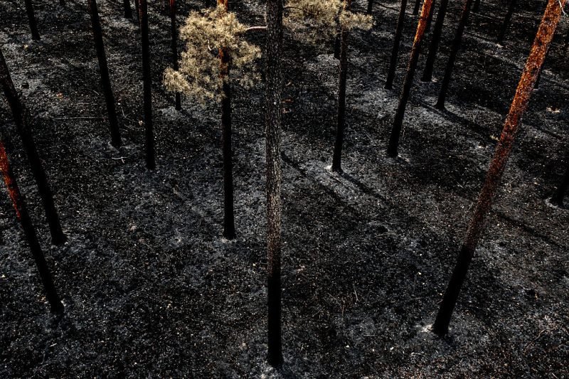 Wildfire season arrives again: Is Europe ready this time?