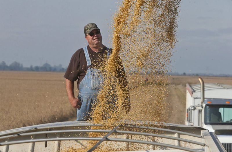 Editors’ Choice: Orbán reheats pipeline politics 1 EU risks losing US soy imports under deforestation rules, Washington warns
