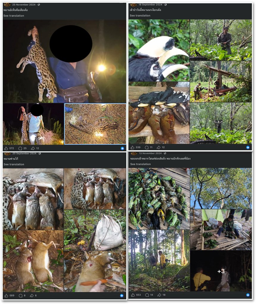 Facebook is a hub for illegal wildlife trade, and that’s by design, report says 4 Some accounts, presumably of poachers like these ones, monetized the content on Facebook by using the 'Subscribe' feature. Users can pay these creators for exclusive content. These photos from the accounts show hunting of small mammals, wild cats and birds.