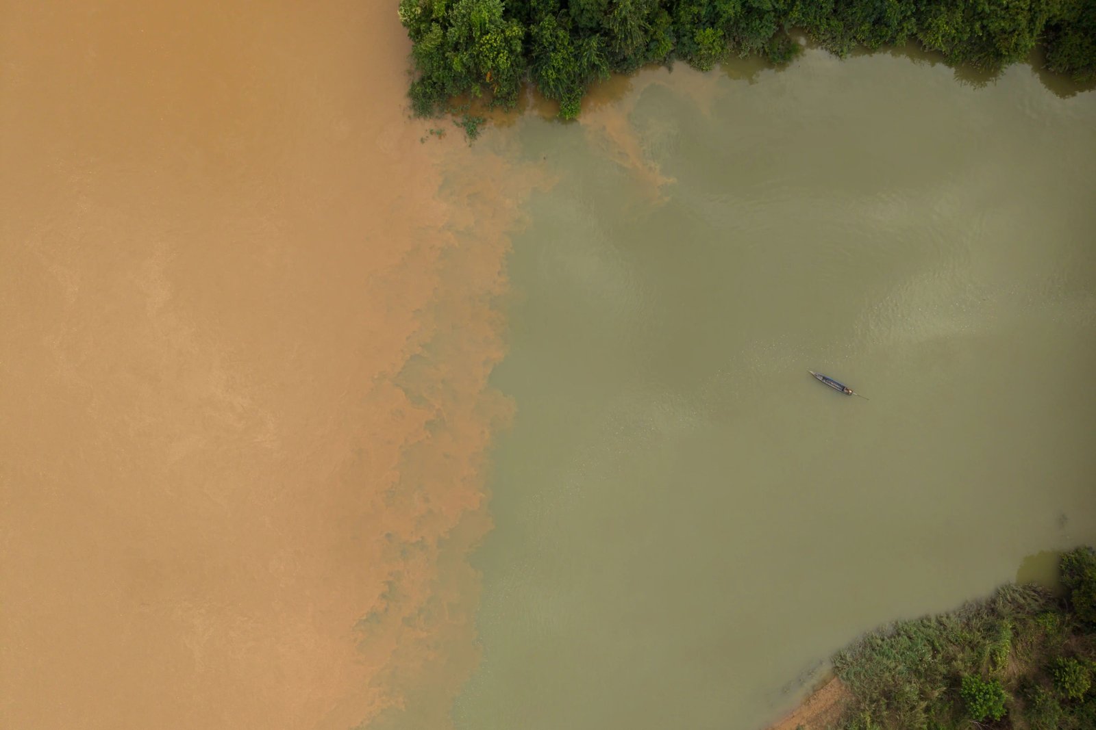 A fisher lays nets on the O’Ta Bouk River, just a few hundred meters from the O’Ta Bouk-Sesan confluence. Communities living along the river’s banks told Mongabay that the O’Ta Bouk no longer follows a seasonal color change. Instead, they said, it’s turned “muddy” all-year-round. Photo by Andy Ball/Mongabay.