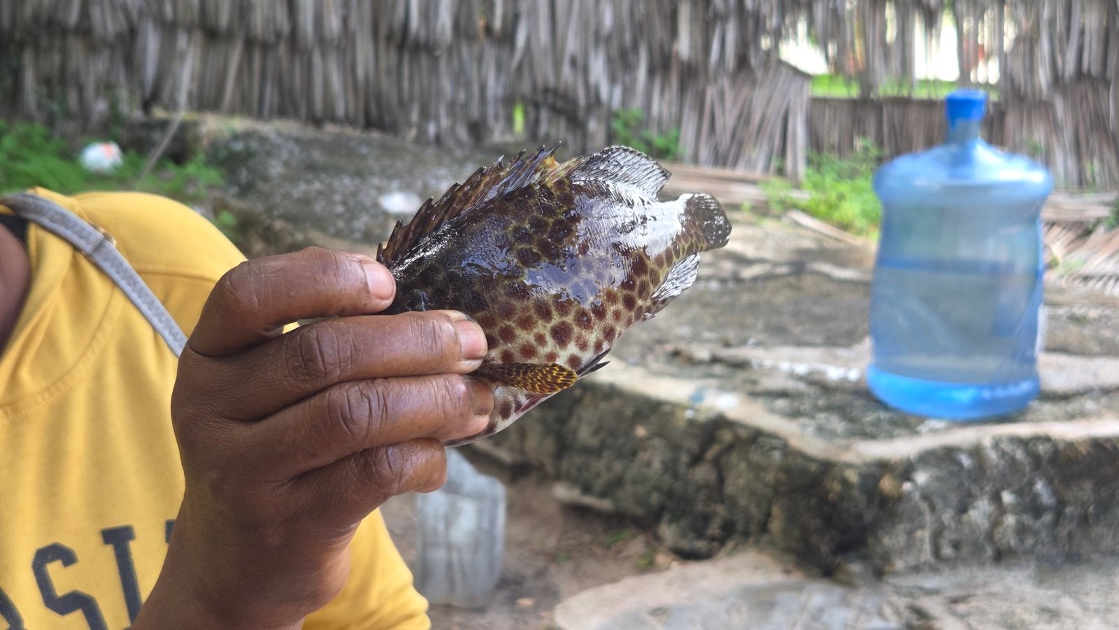 Fishers around Kenya’s Mida Creek say they are increasingly returning from the water with smaller catches. Even when fish are caught, many are juvenile or undersized, raising concerns about the long-term sustainability of local fisheries. Image by David Akana/Mongabay.