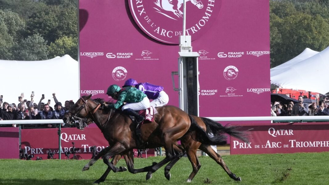 Daryz defeated Minnie Hauk in last year's Arc (AP Photo/Michel Euler)