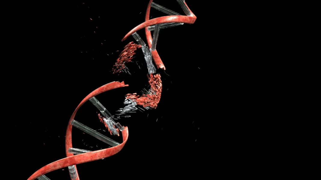 Scientists discover neurons must break their DNA to build the