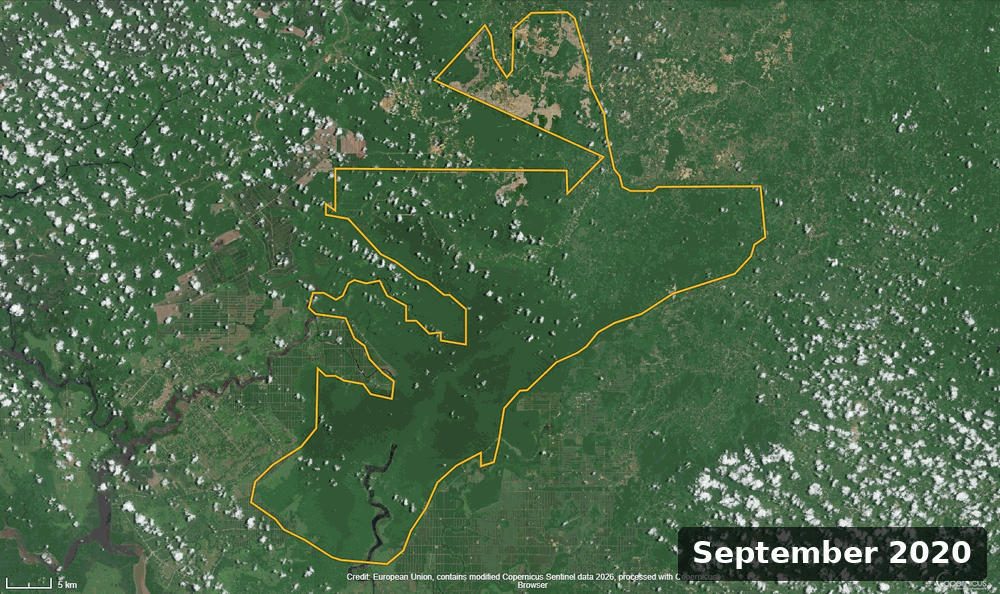 Lawmakers seek rights probe into Indigenous conflict at Indonesian timber firm 5 deforestation timelapse MP new
