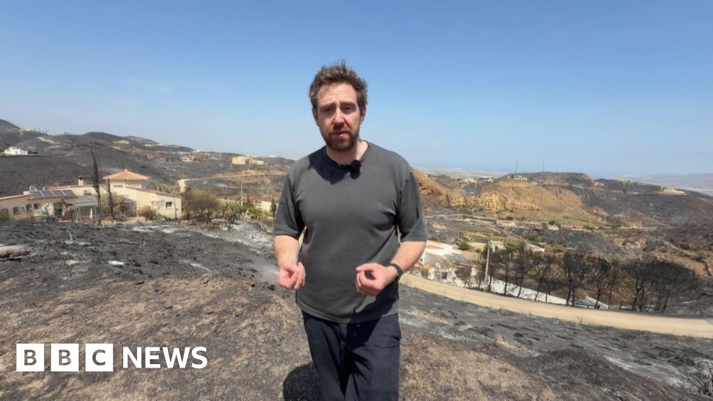 'This landscape is completely charred': Inside the village at epicentre Nick Beake in a black shirt standing in the aftermath of wildfire.