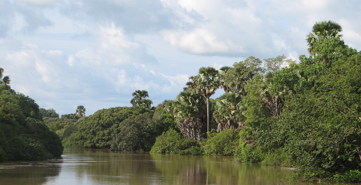 The Pendjari River runs along Pendjari National Park’s northern boundary and forms the border between Benin and Burkina Faso. The riverine forests are prime leopard habitat, but in recent years have become too dangerous for researchers to access because of armed militias operating in the area. Image by Wegmann via Wikimedia commons (CC BY-SA 3.0).