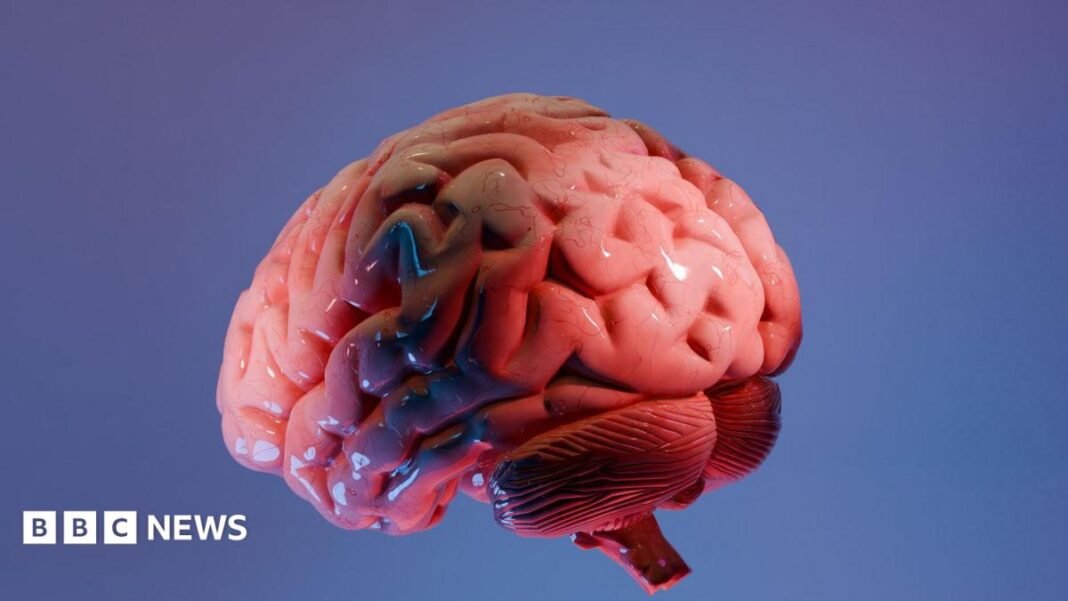 How Indian scientists are mapping the brain's last frontier Amelia Lord is a white woman in her late 20s. She has shoulder length brown hair partly pulled back in a ponytail with frontpieces either side of her face. She has defined eyebrows and is wearing makeup, has a central nose ring and earrings, and is smiling at the camera. She wears a sleeveless black top. She is holding a pair of books and stands in front of a bookshelf with collections of books on it, including titles by Rebecca Yarros and the Harry Potter series by JK Rowling.
