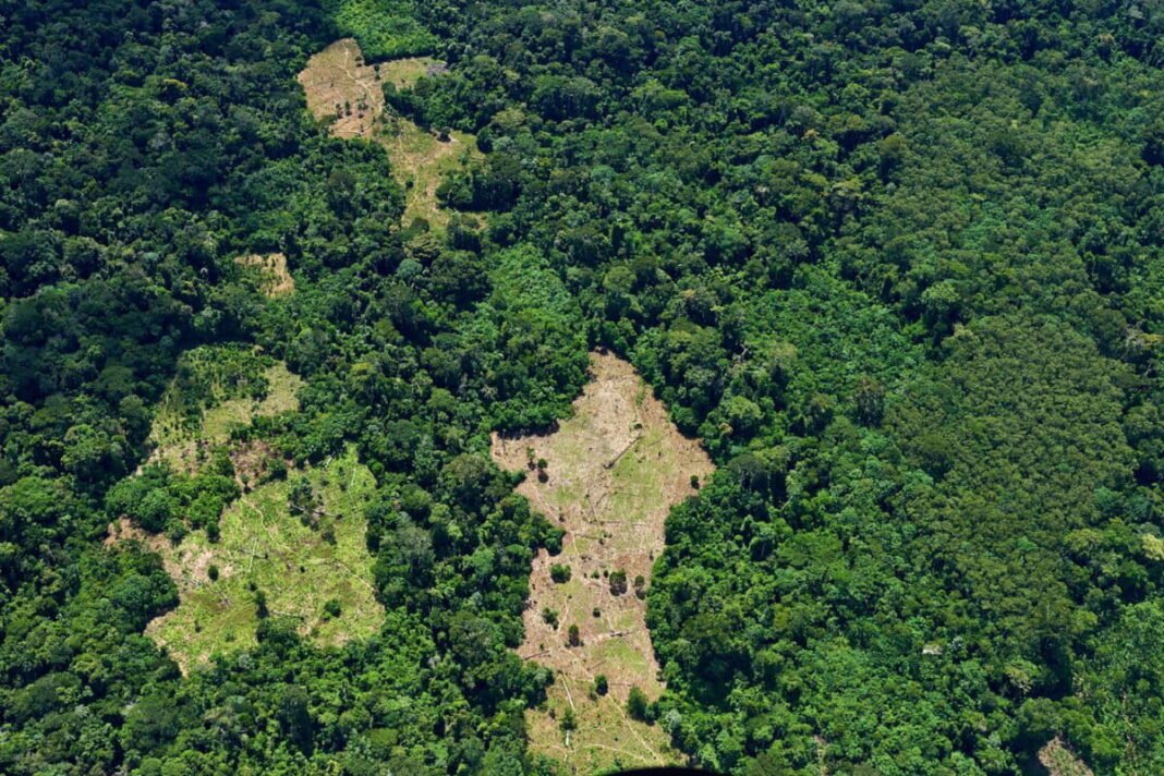 Patches of deforested land observed from the air within the Kakataibo Indigenous Reserve. Image courtesy of AIDESEP.