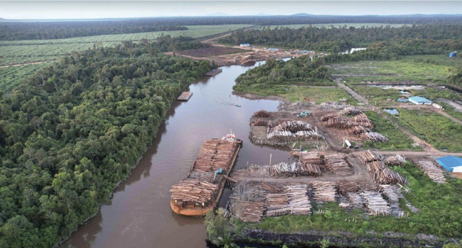 Lawmakers seek rights probe into Indigenous conflict at Indonesian timber firm 7 Screenshot 2024 03 28 010409