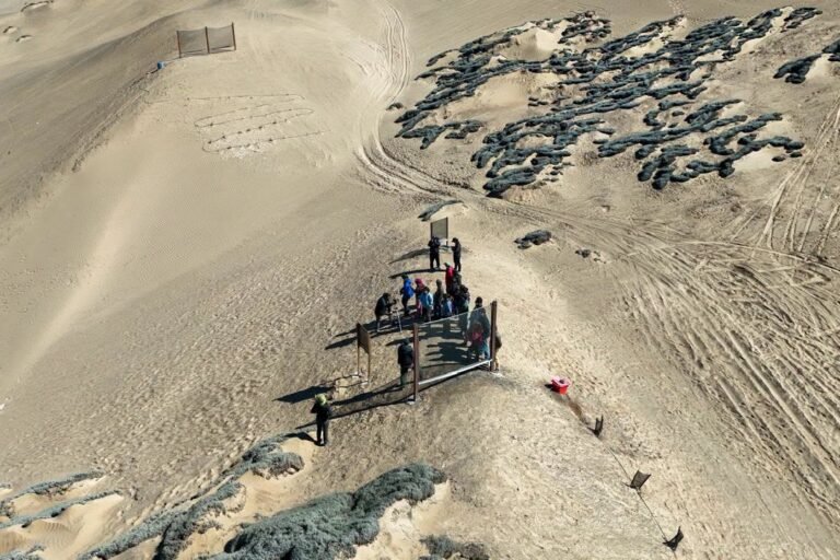 Can ‘fog harvesting’ help solve water scarcity in Chile’s Atacama Desert? 3 WhatsApp Image 2026 07 09 at 10.22.02 AM