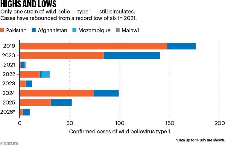 HIGHS AND LOWS. Bar chart shows number of cases of wild poliovirus type 1 (2019–26). During this time cases have been detected in Afghanistan, Pakistan, Mozambique and Malawi.
