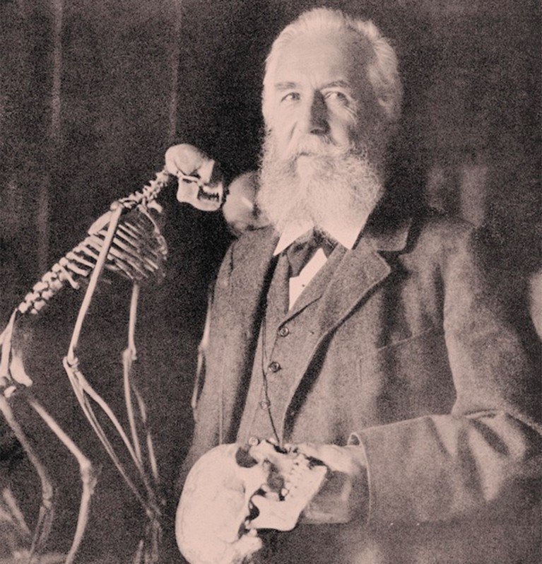 Black and white photograph of Ernst Haeckel holding a primate skull next to a mounted primate skeleton.