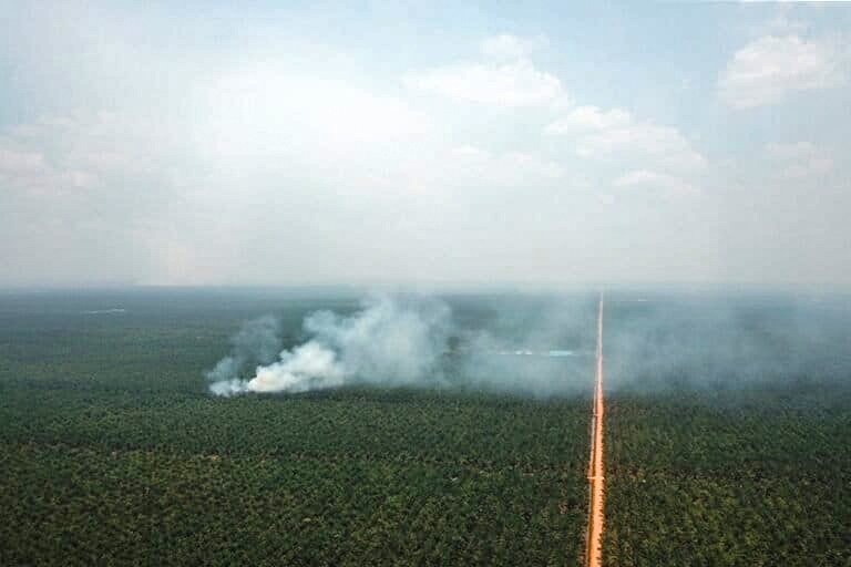 Photographic documentation of forest and land fires in 2024 at a palm oil plantation concession in South Kalimantan Province. Photo source: Walhi Kalsel for Mongabay Indonesia.