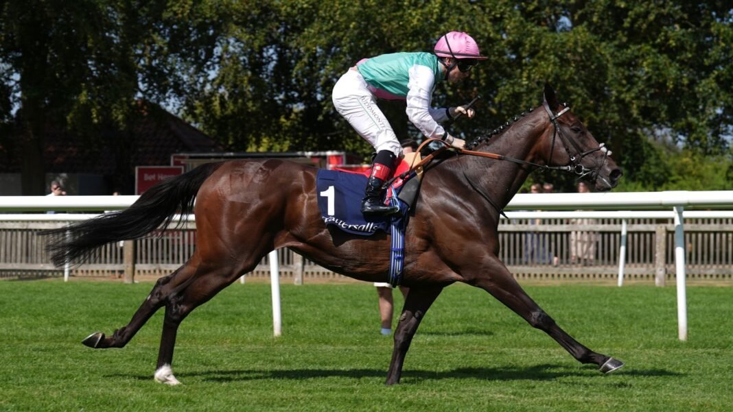 Blue Bolt confirms superiority over Precise at Deauville Blue Bolt