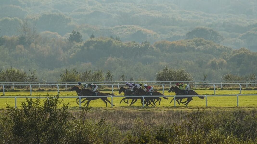 Perfect Nation and Avionics face off in Ffos Las feature Ffos Las hosts today's live action