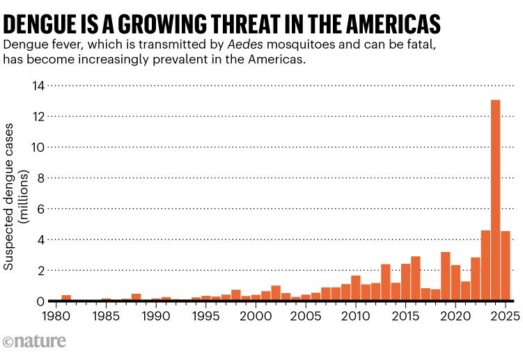 Dengue is a growing threat in the Americas. Bar chart showing the number of suspected dengue cases has risen since 1980 to its highest level in 2024. Dengue fever, which is transmitted by Aedes mosquitoes and can be fatal, has become increasingly prevalent in the Americas.