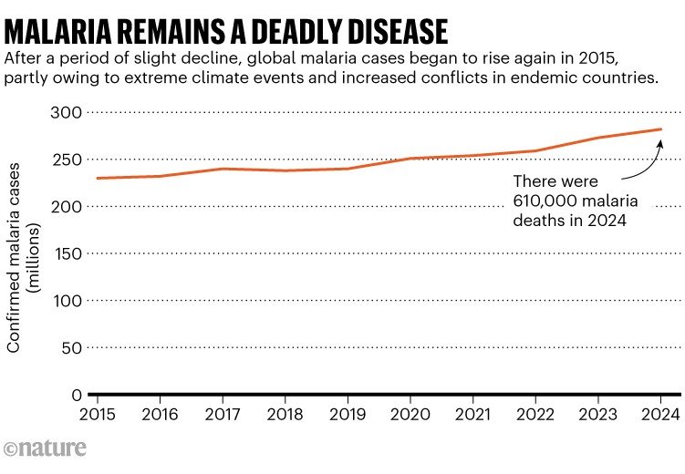 Malaria remains a deadly disease. Line chart showing confirmed malaria cases from 2015 to 2024. Following a period of slight decline, global malaria cases began to rise again in 2015, partly due to extreme climate events and increased conflicts in endemic countries. There were 610,000 malaria deaths in 2024.