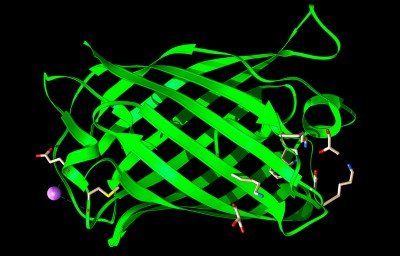 d41586 026 02335 5 50995656