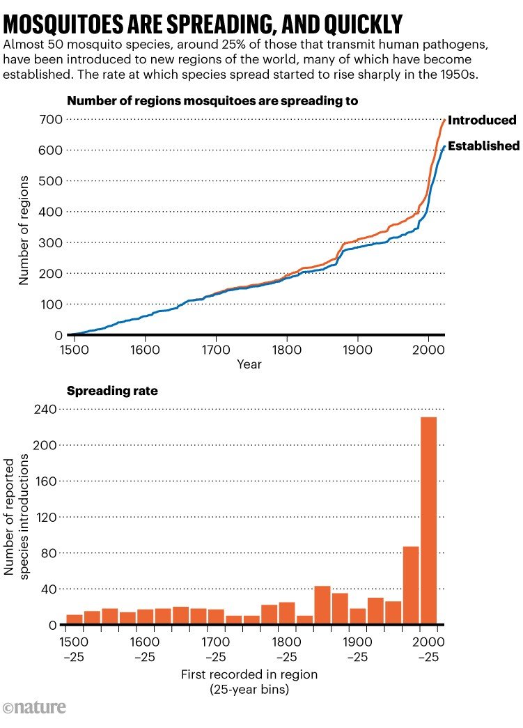 Mosquitoes are spreading, and quickly. Chart showing the number of regions mosquitoes are spreading to and the spreading rate over the last five hundred years. Almost 50 mosquito species, around 25% of those that transmit human pathogens, have been introduced to new regions of the world, many of which have now become established. The rate at which species spread started to rise sharply in the 1950s.